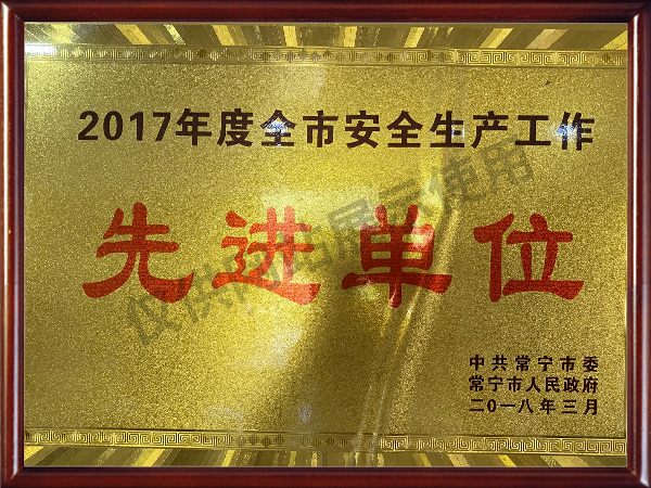 2017全市安全生產工作先進單位